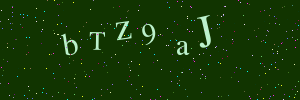 Validation image